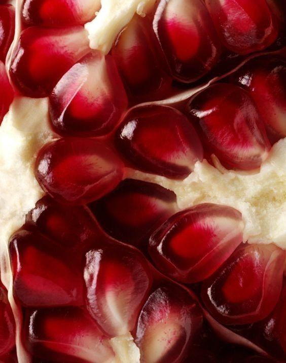 Berry Patch Splendor: Handpicked Juicy Delights