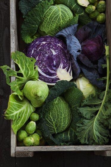 Verdant Feast: Vibrant Veggie Variety Pack